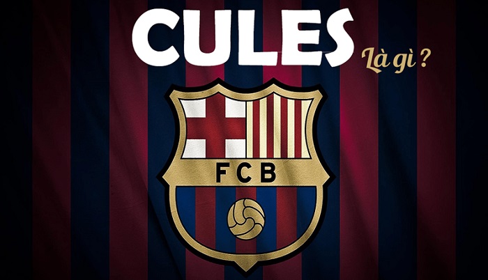 What are the characteristics of a Cules?