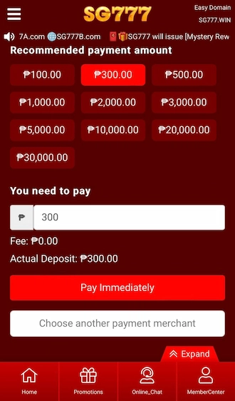 Step 3: Select the suggested payment amount or enter the amount you want to pay yourself. 