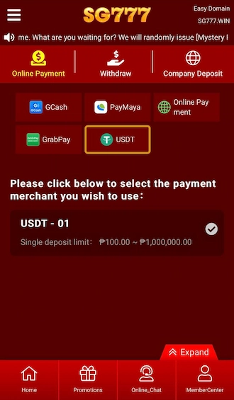 Step 1: Newbies access the online payment interface and choose the payment method via USDT. 